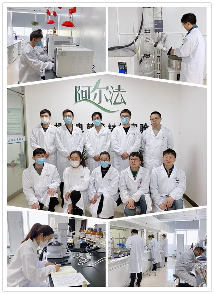 CAS No.918504-65-1 | PLX4032